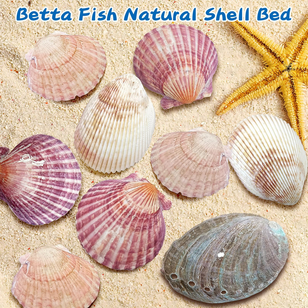 Elemento decorativo que eleva la estética del acuario, ideal para bettas