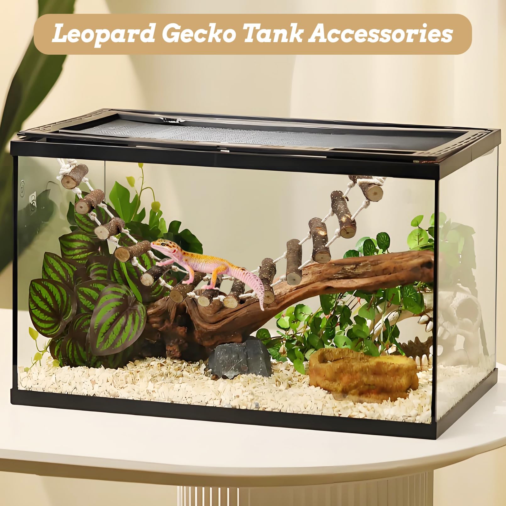 VCEPJH escalera para reptiles facilita el acceso entre plataformas