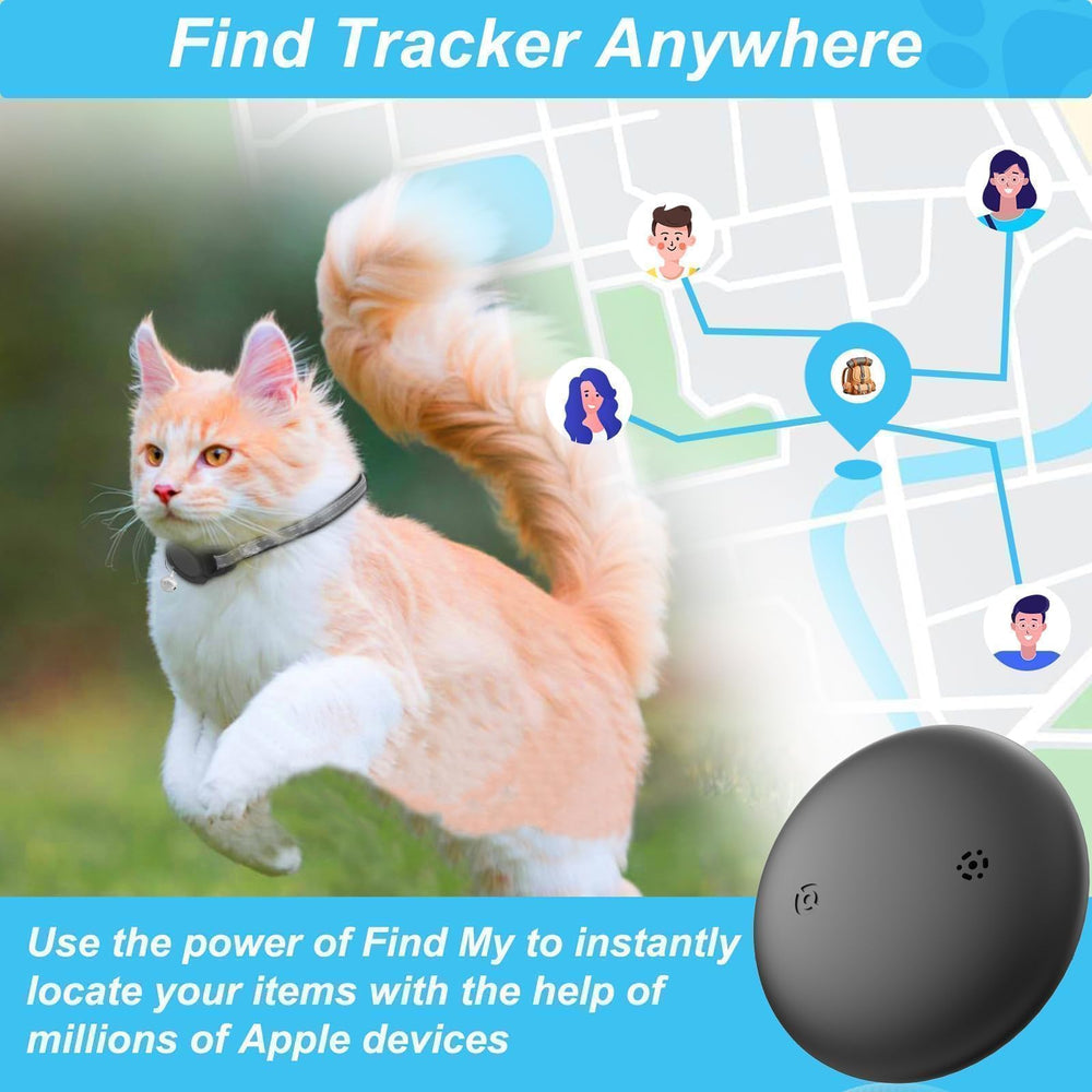 Rastreador Vebiso para gatos en la app Localizar, seguimiento en tiempo real.