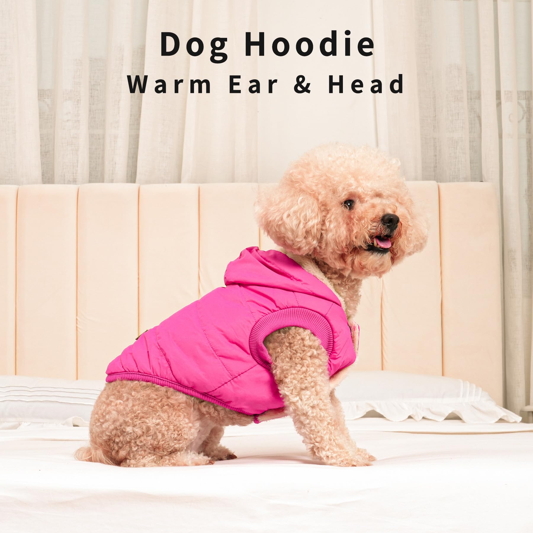 Vecomfy etiqueta de talla M para perros pequeños.
