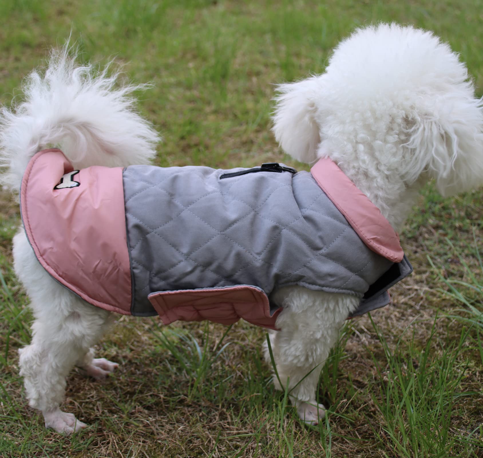 Vecomfy abrigo impermeable para perros pequeños, ligero y cómodo