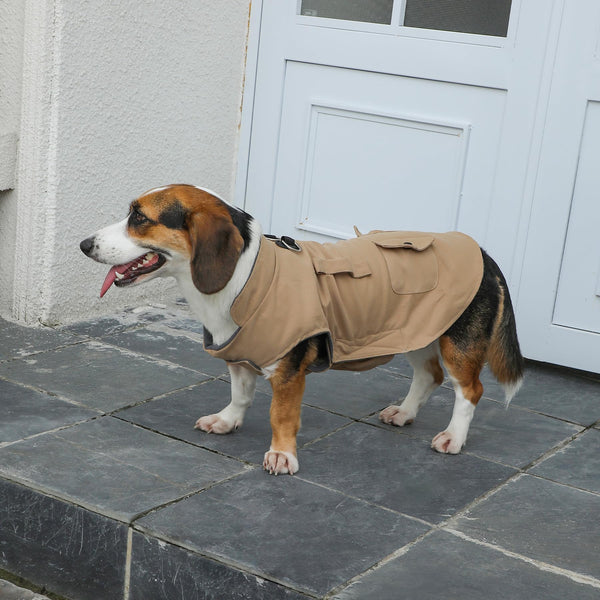 Vecomfy cazadora-perro-arnes-integrado-seguridad: distribución de la tracción en pecho y torso.