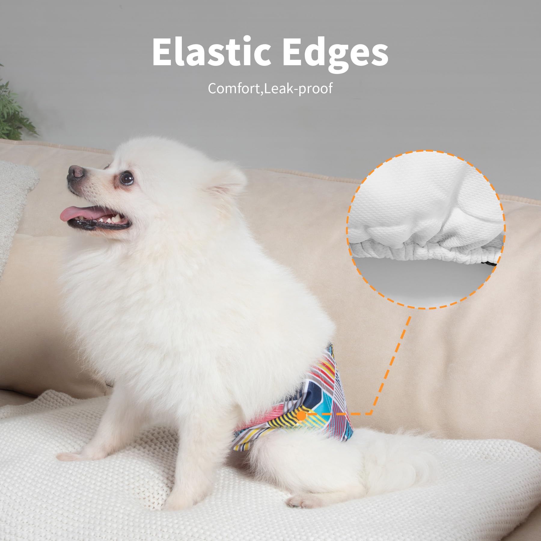 Guía de talla XS para medir la cintura del perro macho