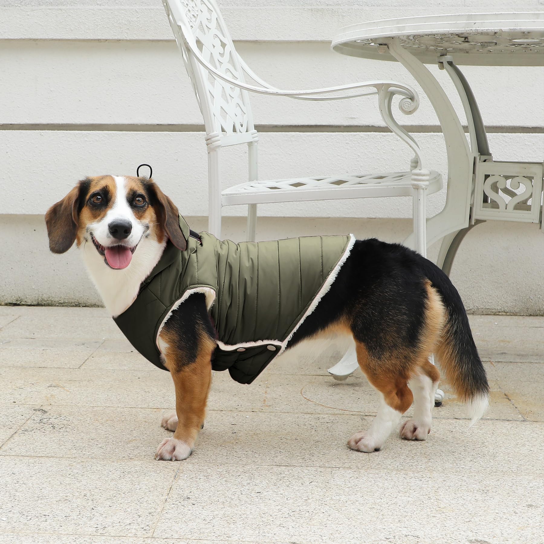 Vecomfy: disponible en talla 3XL, guía de tallas para perros grandes.