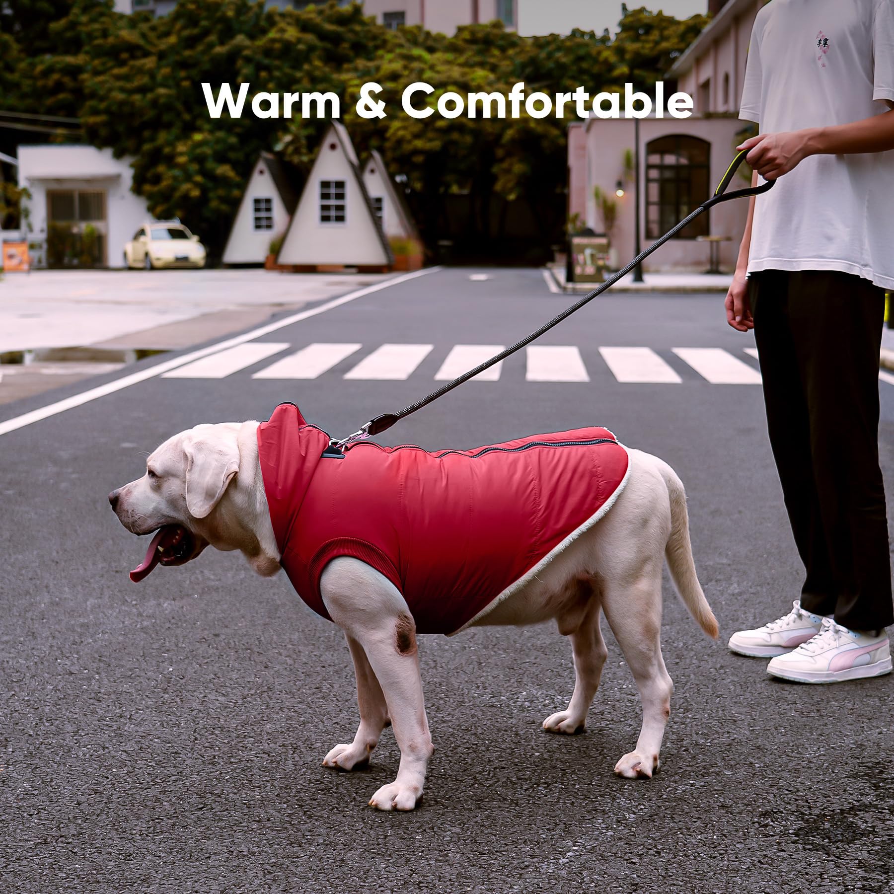 Vecomfy uso diario para perros pequeños con confort moderado