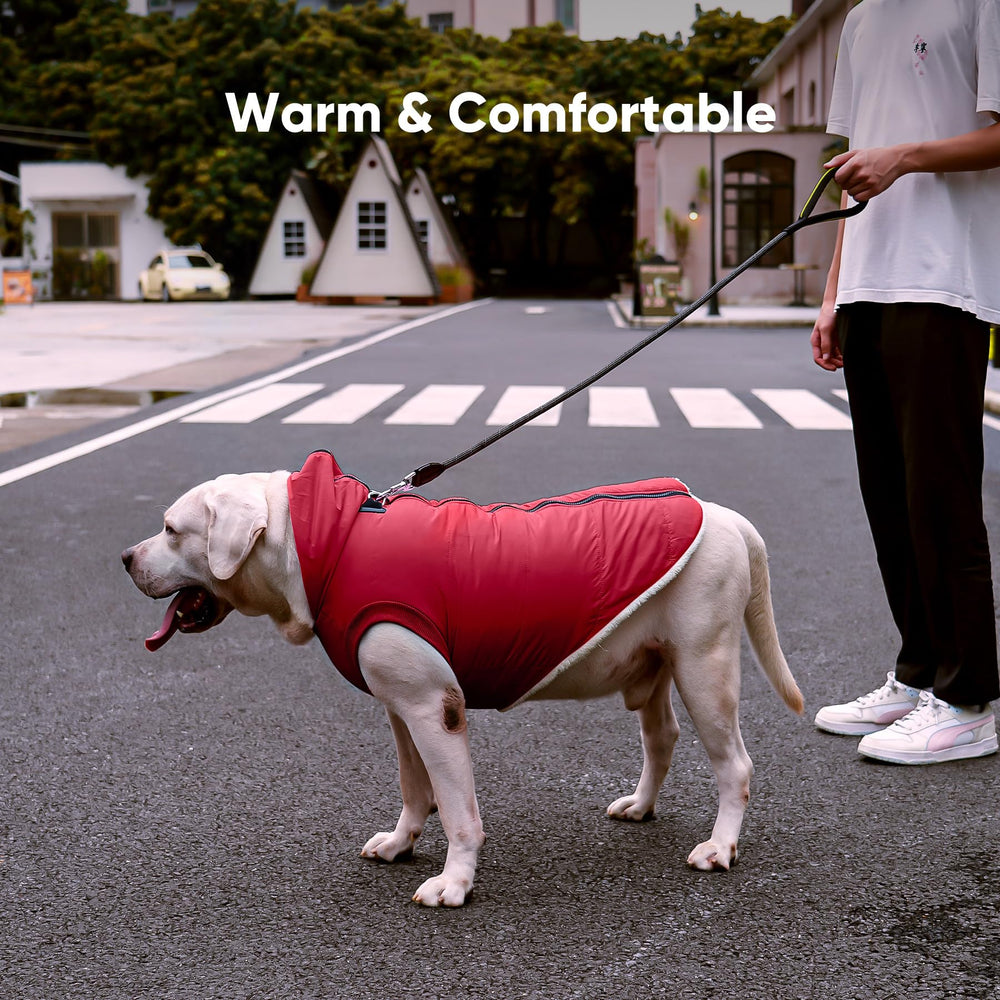 Vecomfy uso diario para perros pequeños con confort moderado