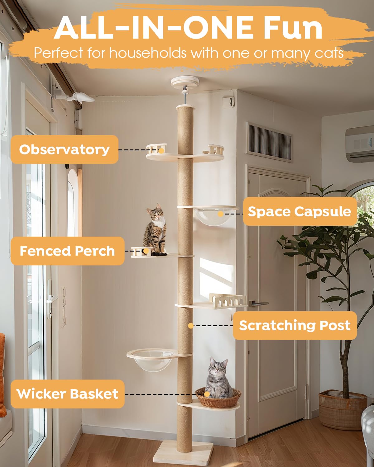 Veehoo Arbol Gato cápsulas confortables para siestas seguras y relajantes