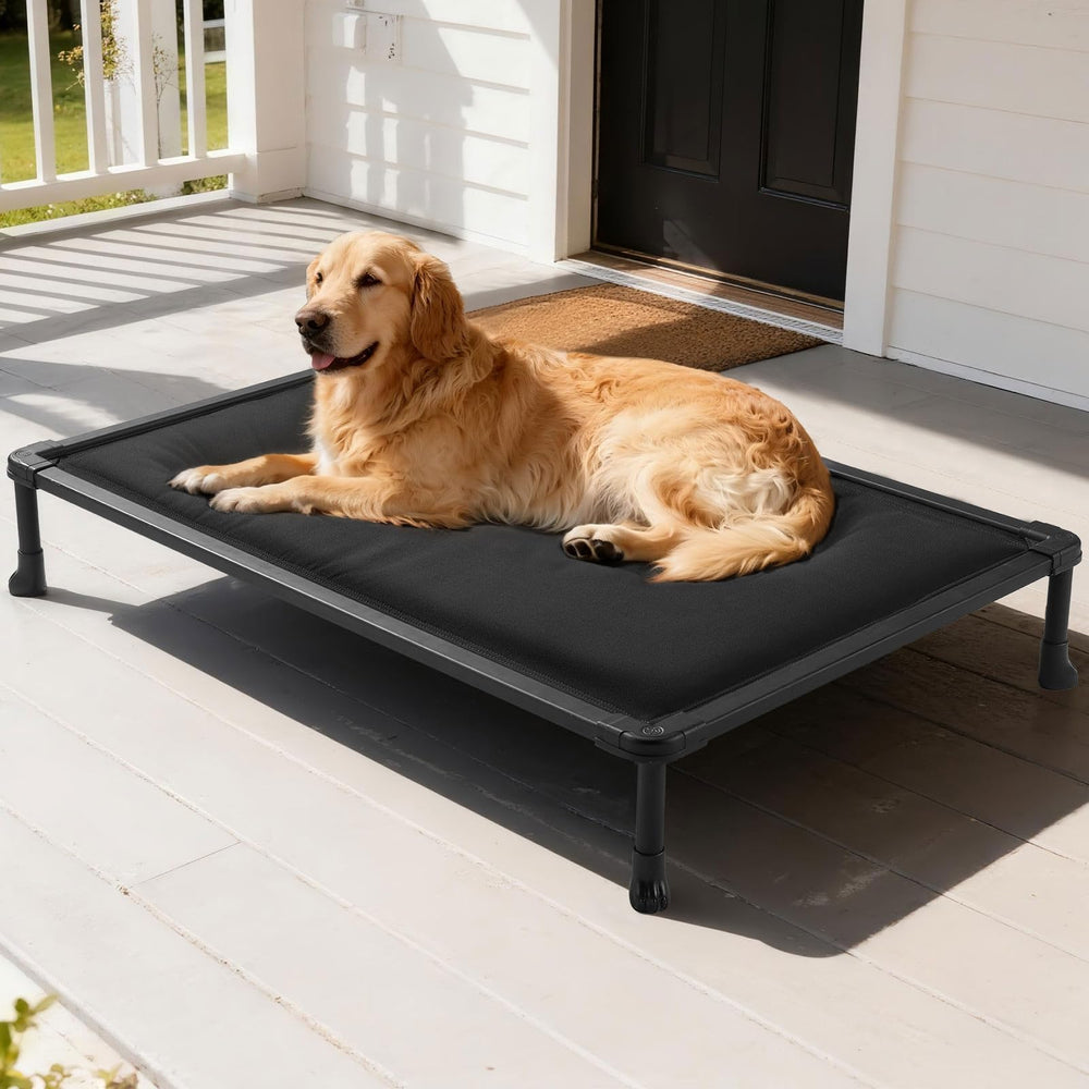 Cama elevada Veehoo para perros de 49 pulgadas, estable y duradera.