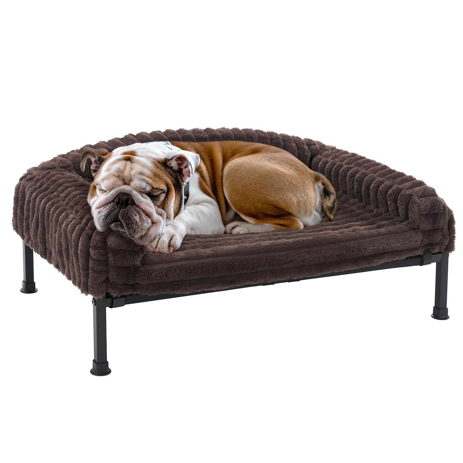 Cama elevada Veehoo para perros pequeños con borde acolchado y respaldo seguro.