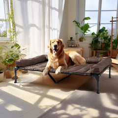 Cama para perro Veehoo elevada con base de acero estable para interior o exterior.