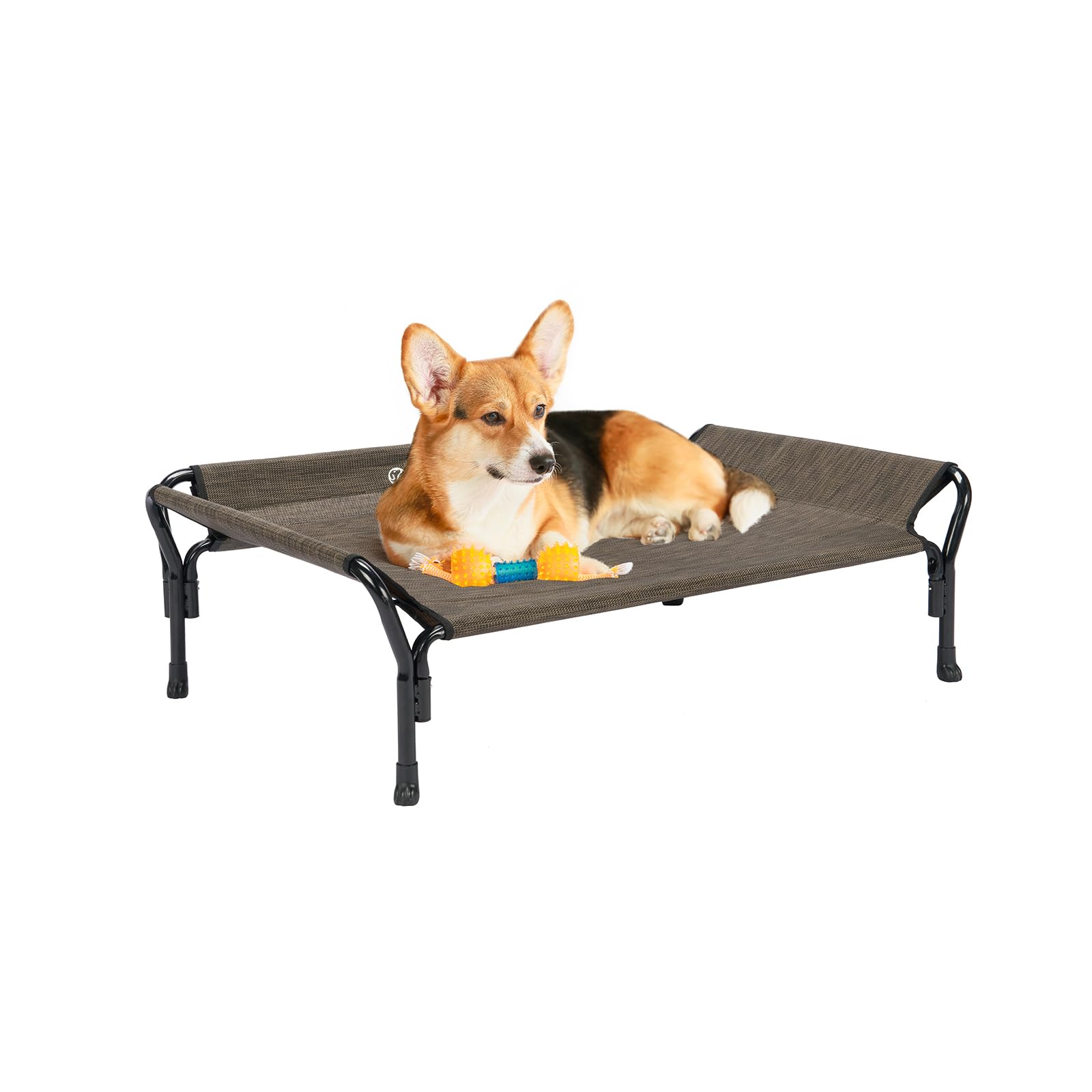 Cama elevada para perro Veehoo con barandillas, descanso seguro