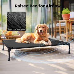 Cama para perro Veehoo de montaje sin herramientas
