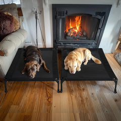 Cama elevada Veehoo para perros grandes con pies antideslizantes