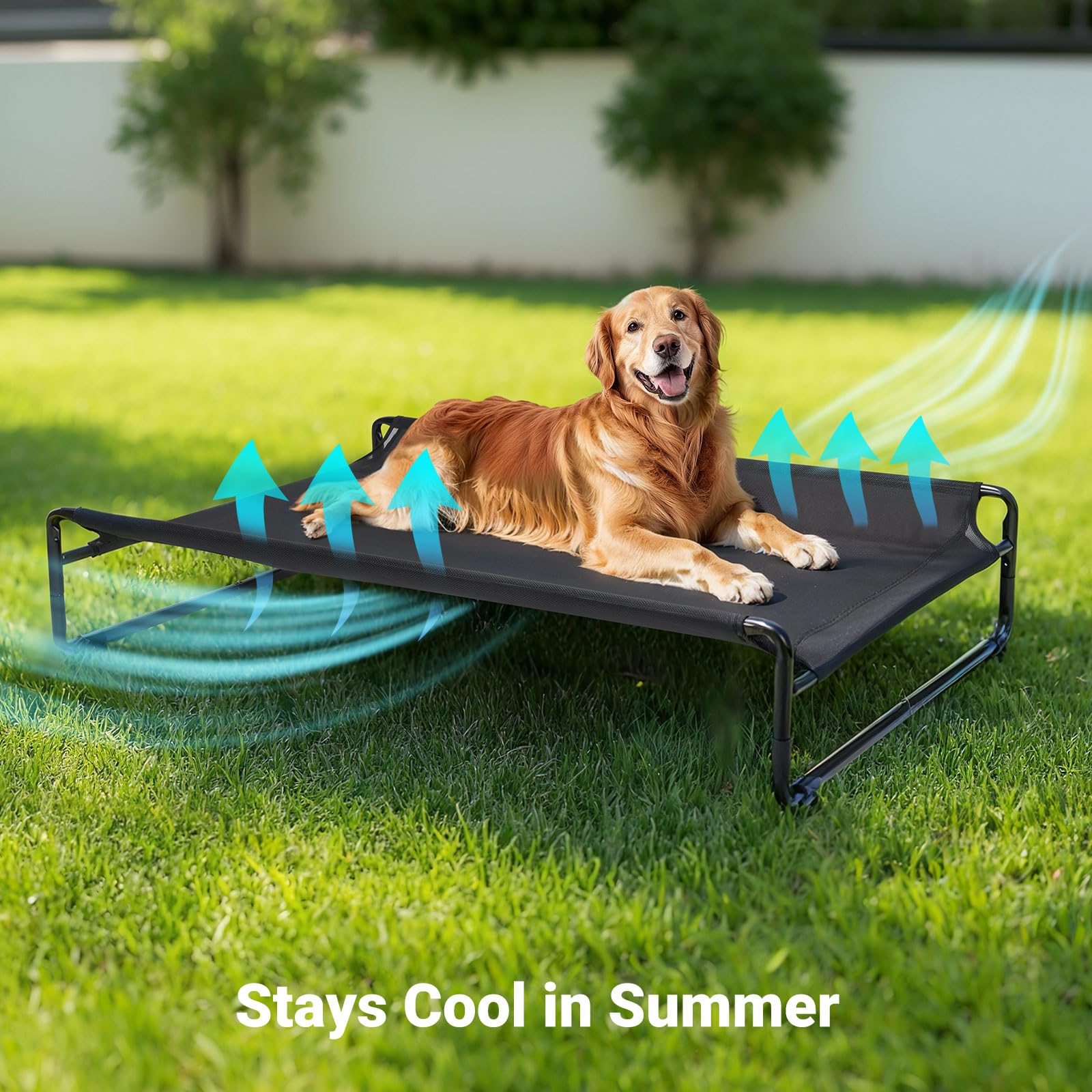 Fácil montaje sin tornillos para la cama de perros Veehoo.