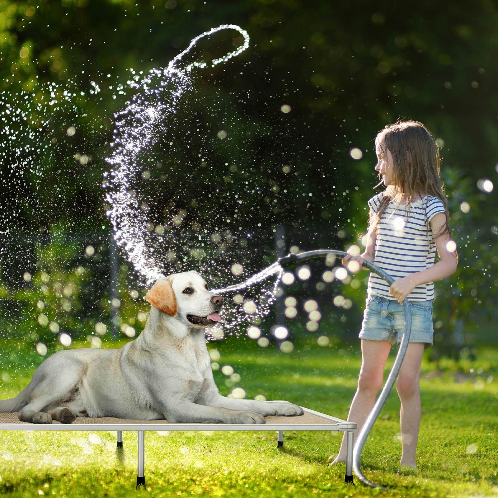 Veehoo capacidad para perros grandes hasta 68 kg con comodidad.