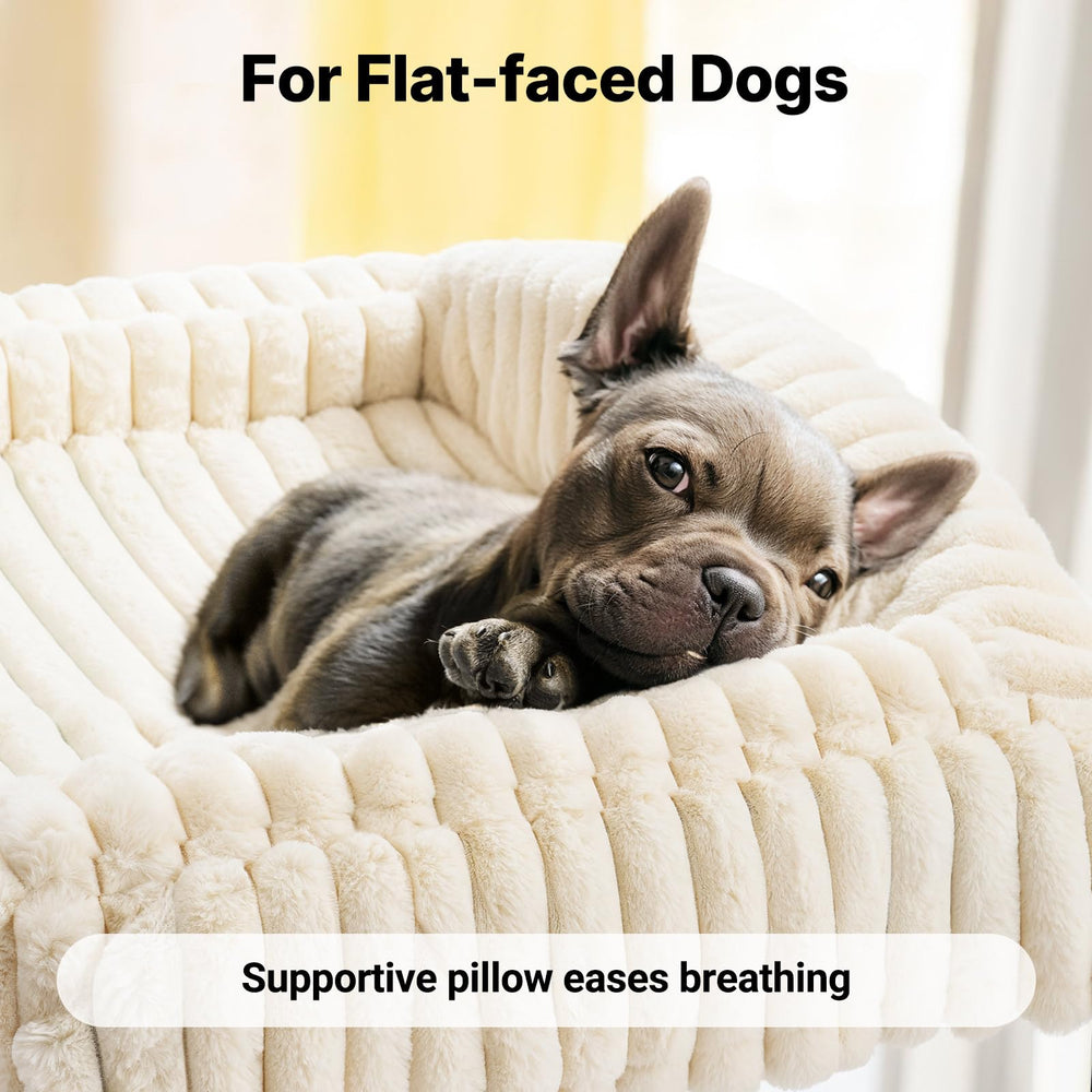 Veehoo diseño elevado que mantiene al perro lejos de humedad.