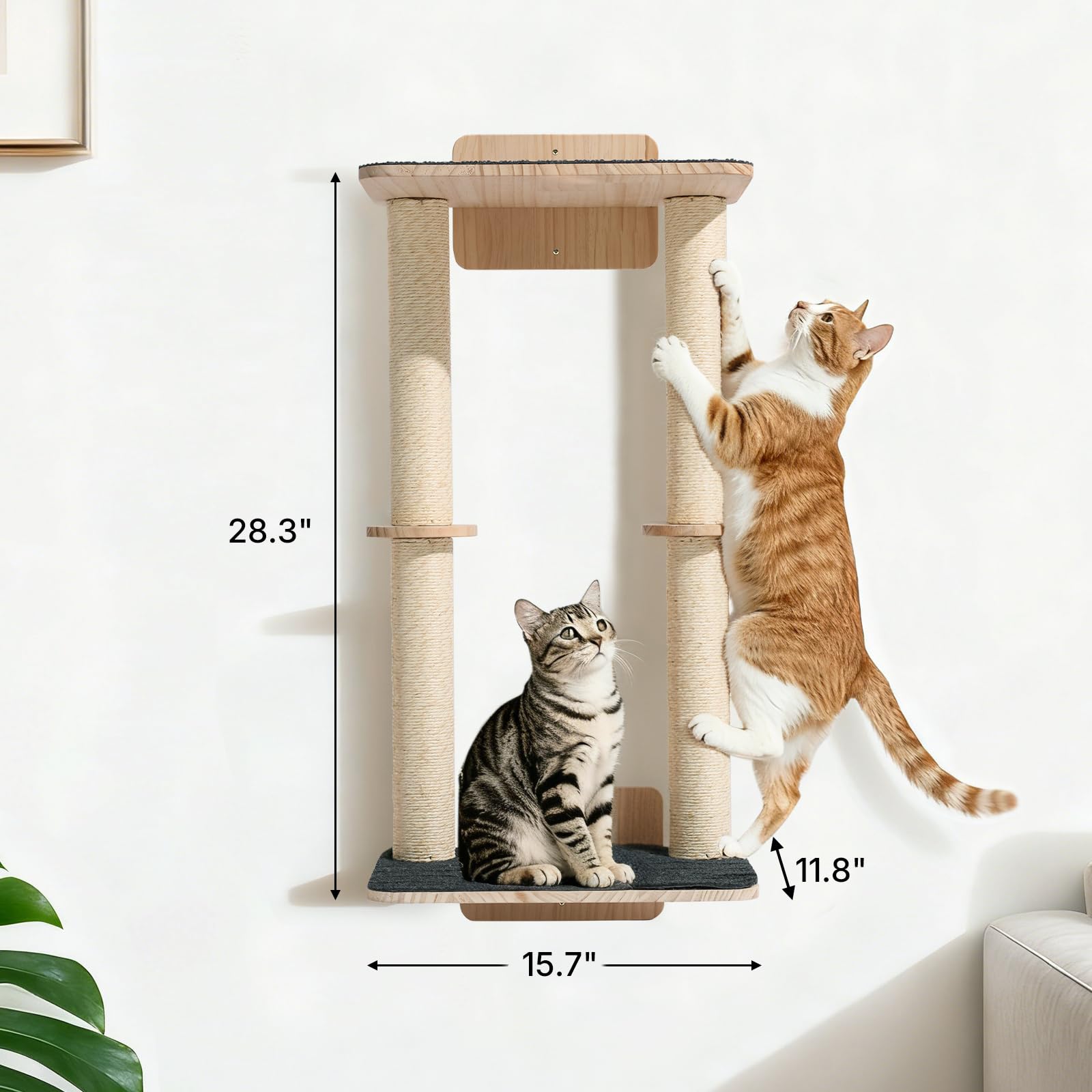 Rascar y observar desde altura con Veehoo para gatos curiosos.