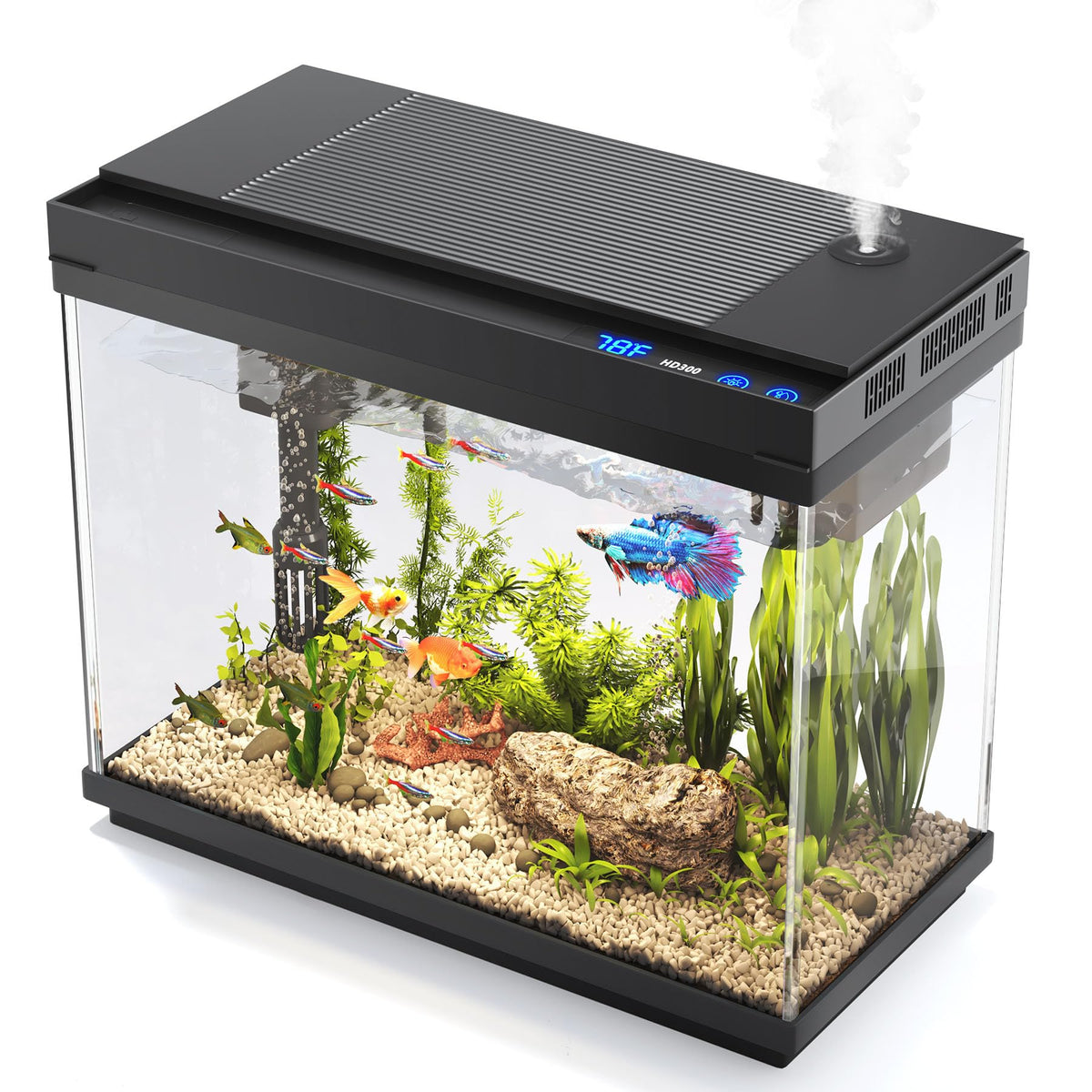 Vehipa acuario 2-4 galón, compacto y decorativo para espacios pequeños.