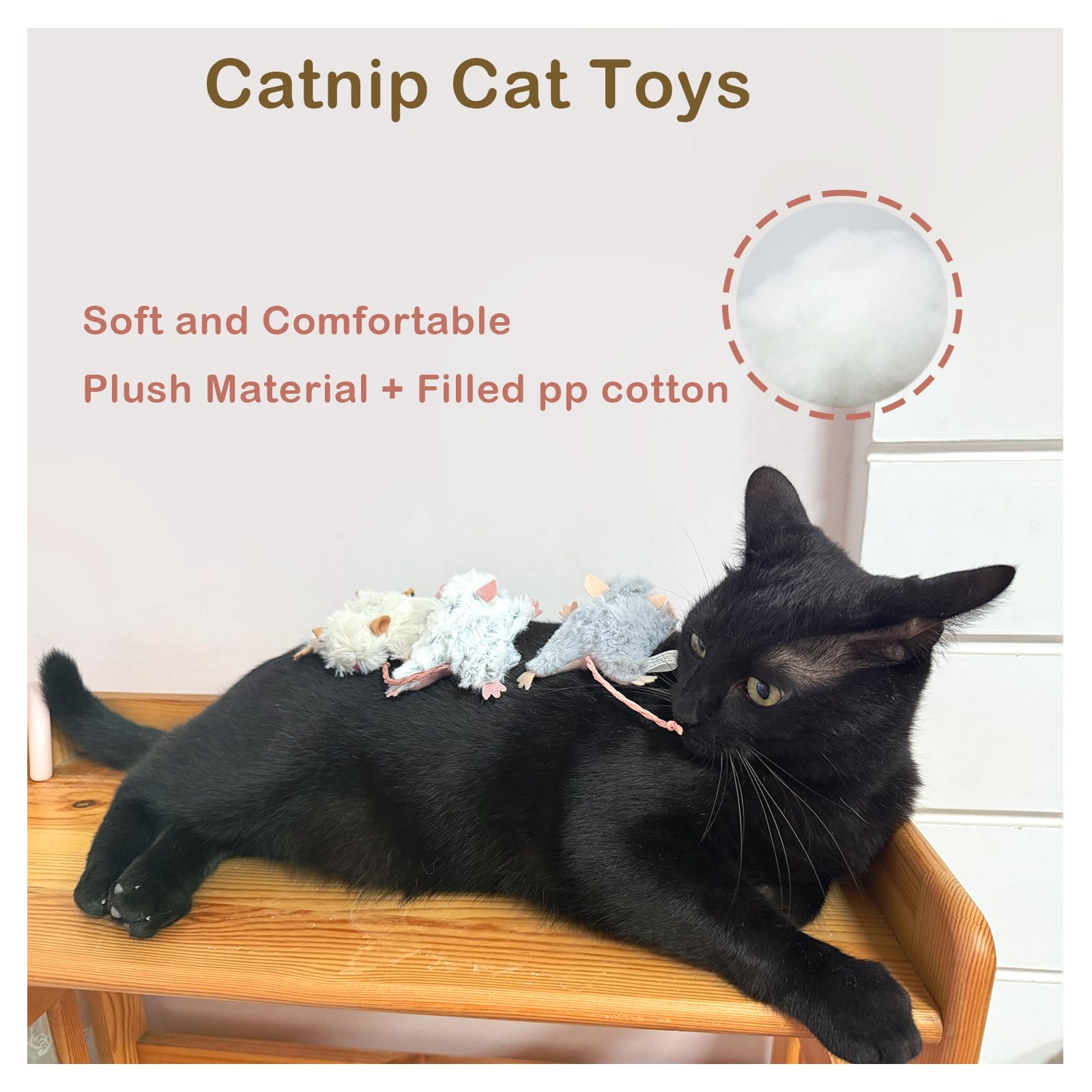 Veinbuty ratón catnip, desarrollo mental y ejercicio ligero
