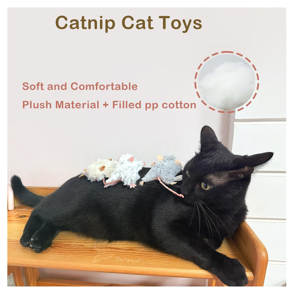 Veinbuty ratón catnip, desarrollo mental y ejercicio ligero