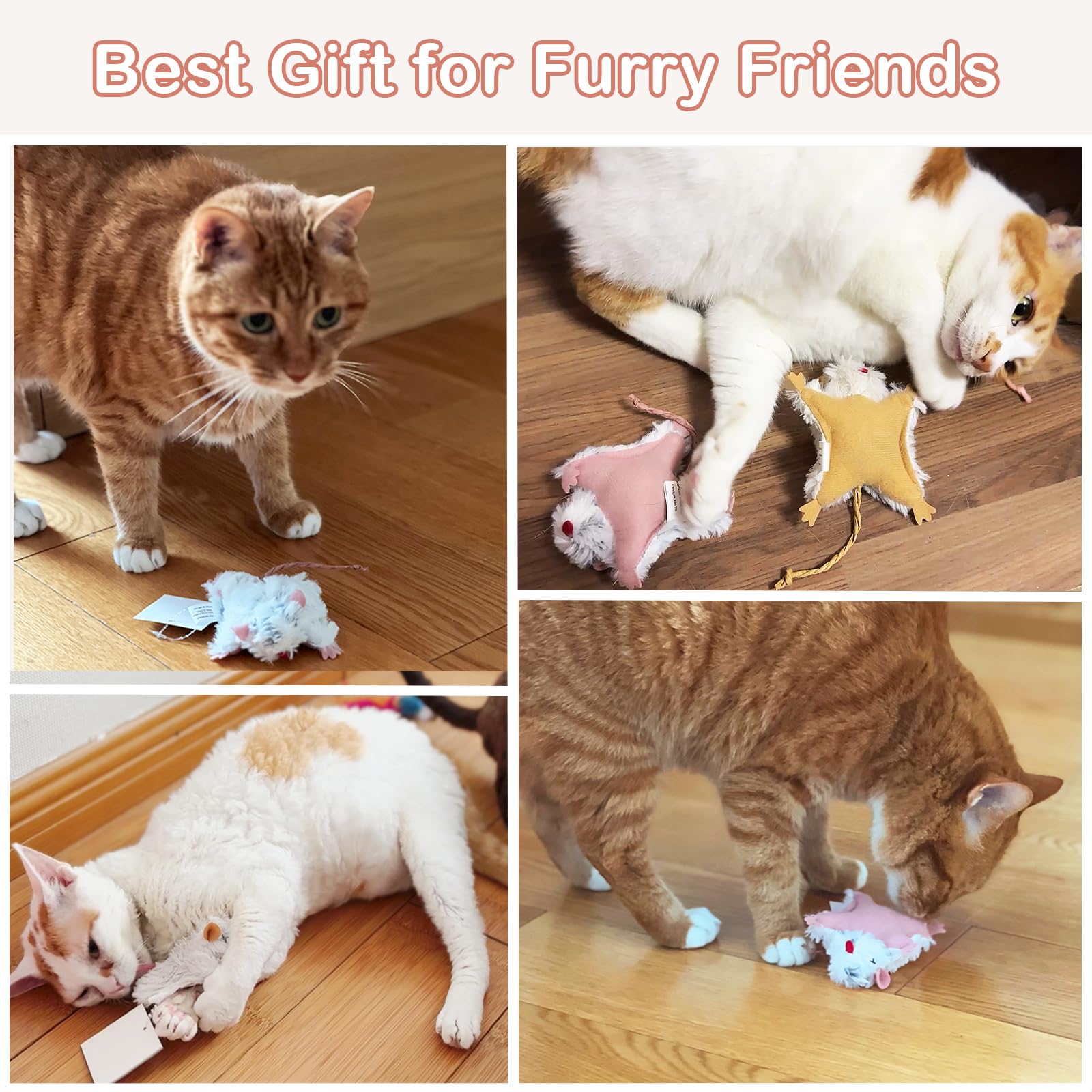 Veinbuty ratón catnip, tres colores para variedad de juego