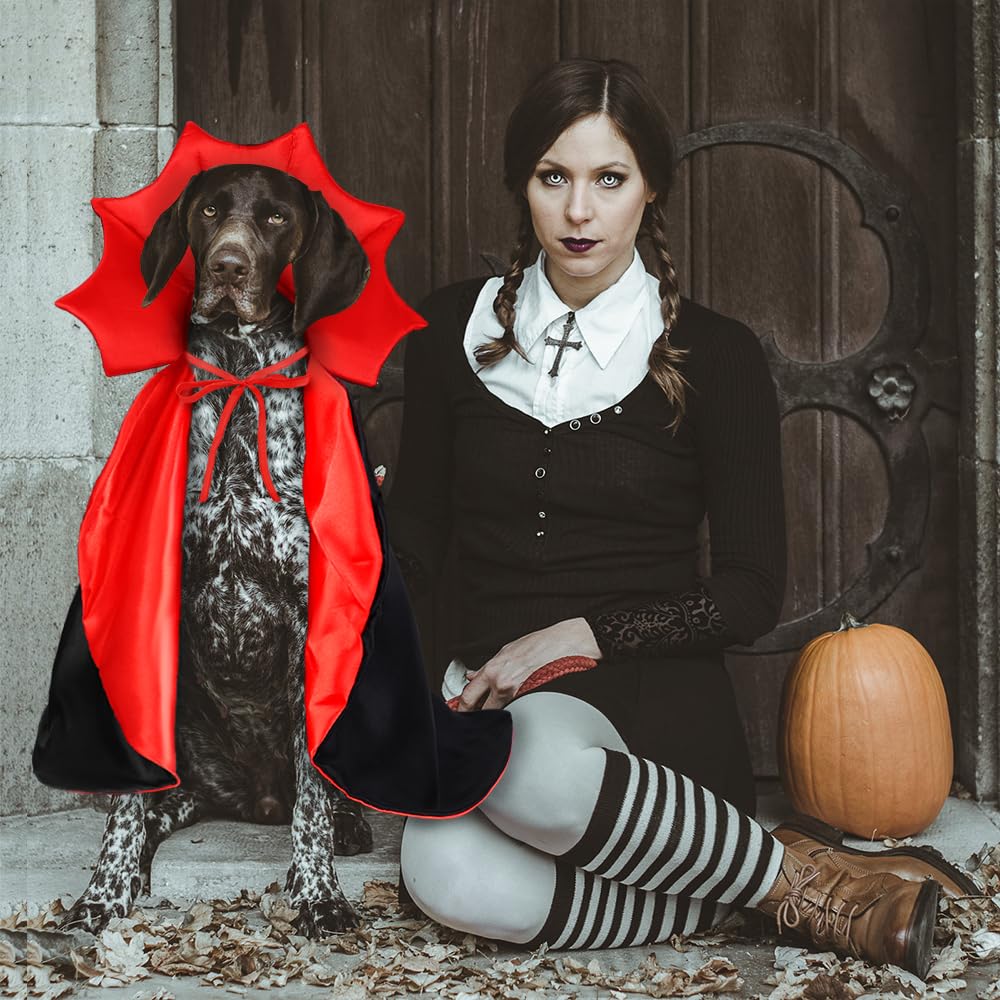 Uso versátil para disfraces, sesiones de fotos y regalos para mascotas.