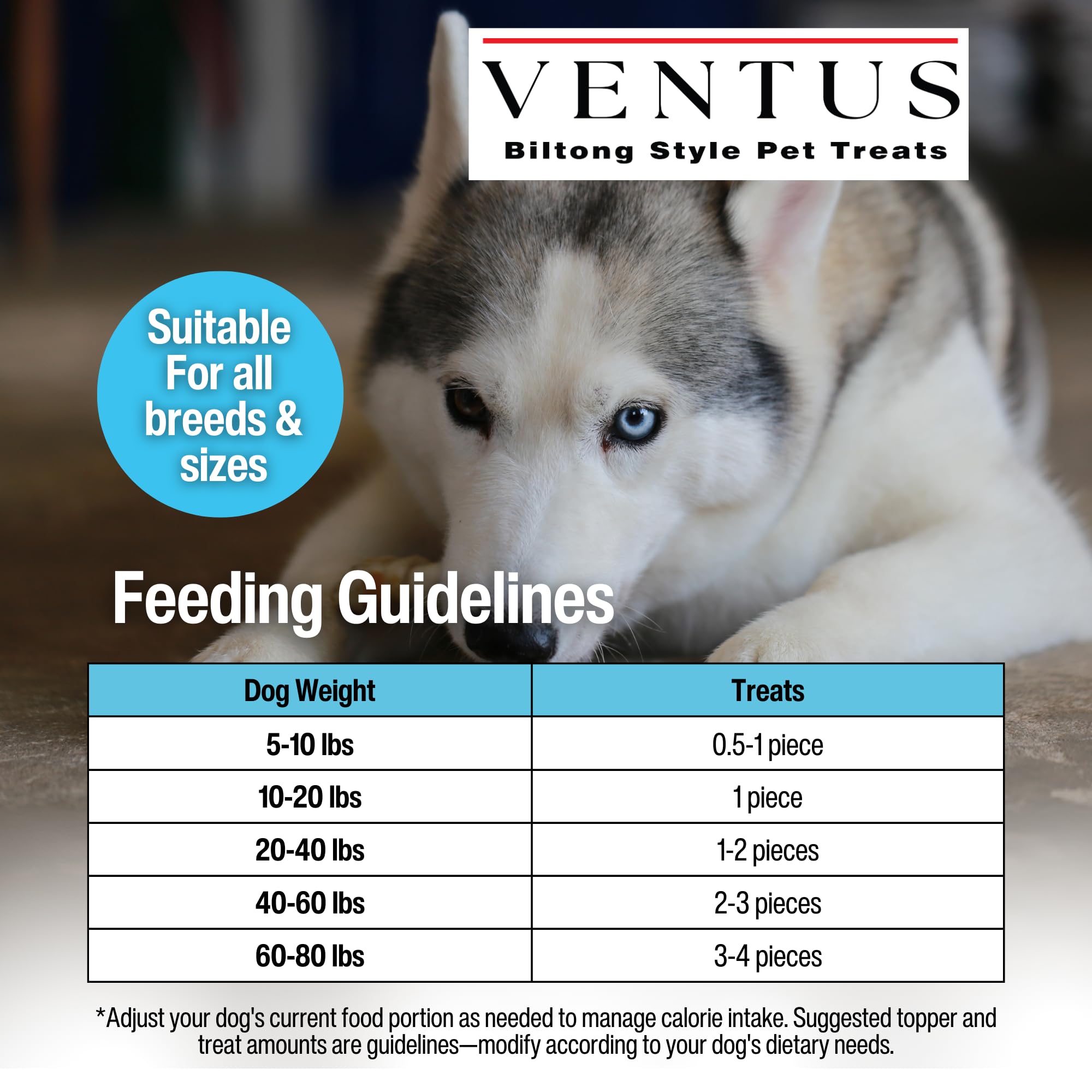 VENTUS: nutrientes clave, aminoácidos y hierro para bienestar.