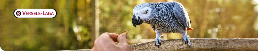 VL Goldenfeast Amazon Blend, uso diario en jaula para aves Amazon.