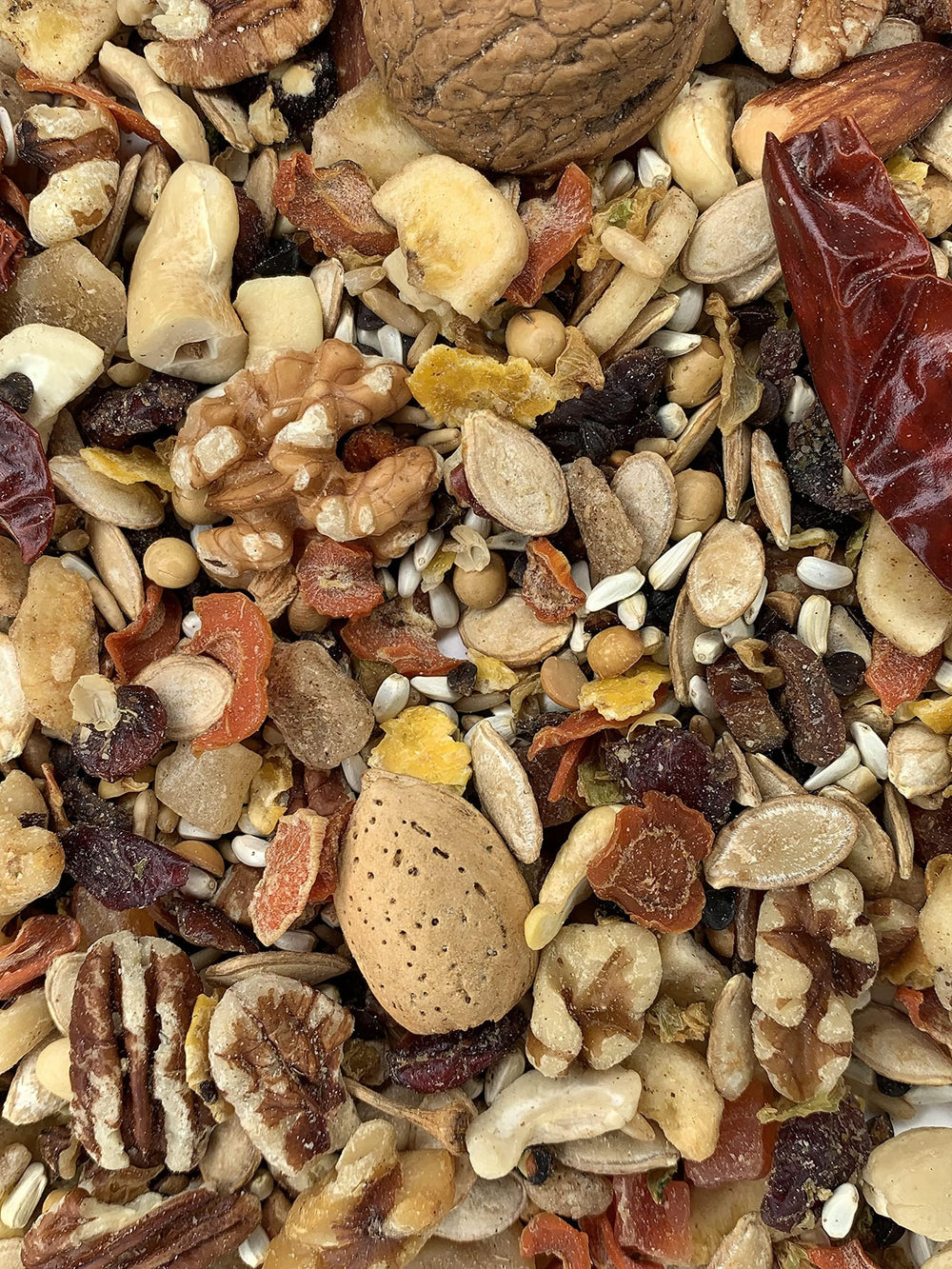 VL Goldenfeast Amazon Blend, mezcla variada de semillas para aves Amazon.