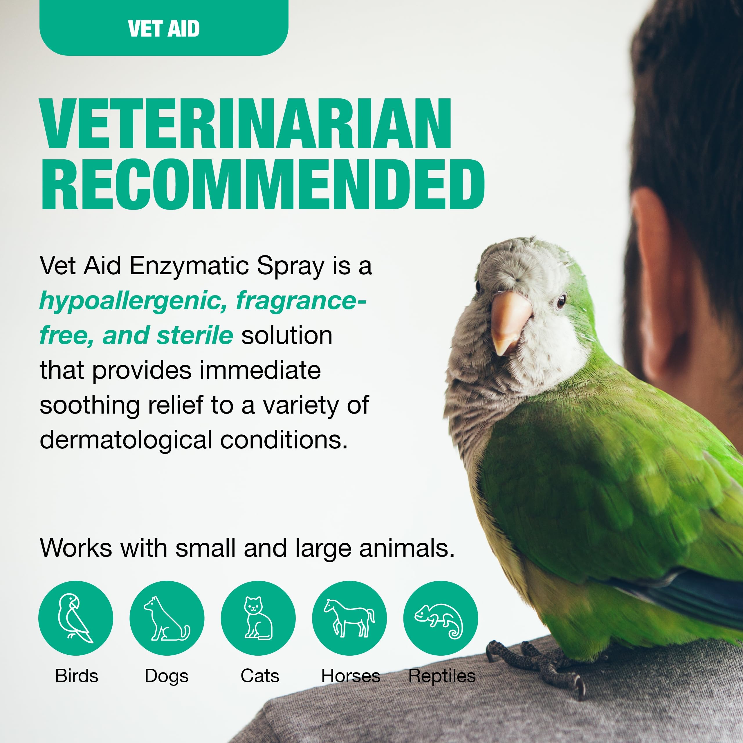 Vet Aid para dermatitis húmeda: ayuda suave para la piel de mascotas.