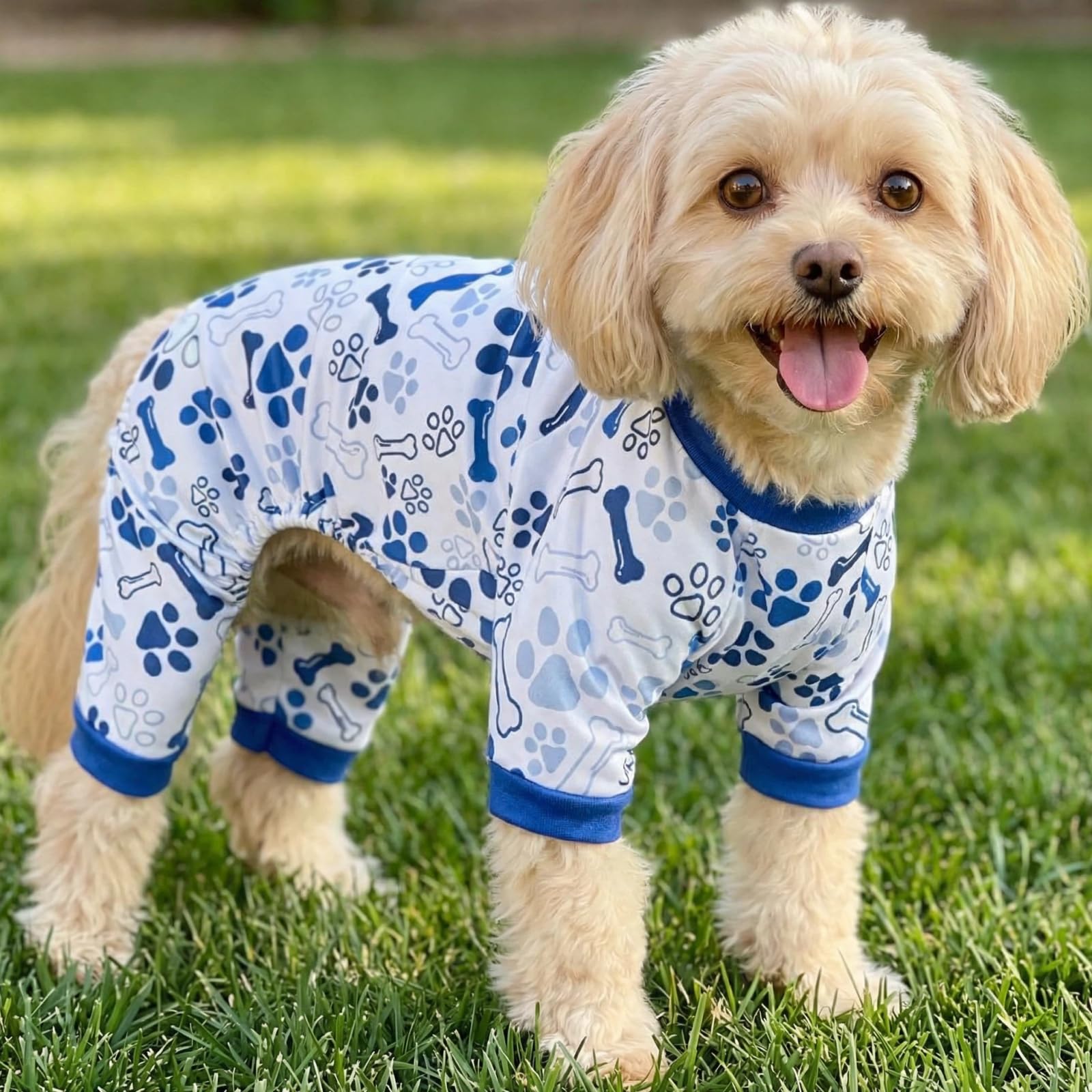 Vet-Approved Pijamas calmantes para perros, uso diario ligero para climas templados.