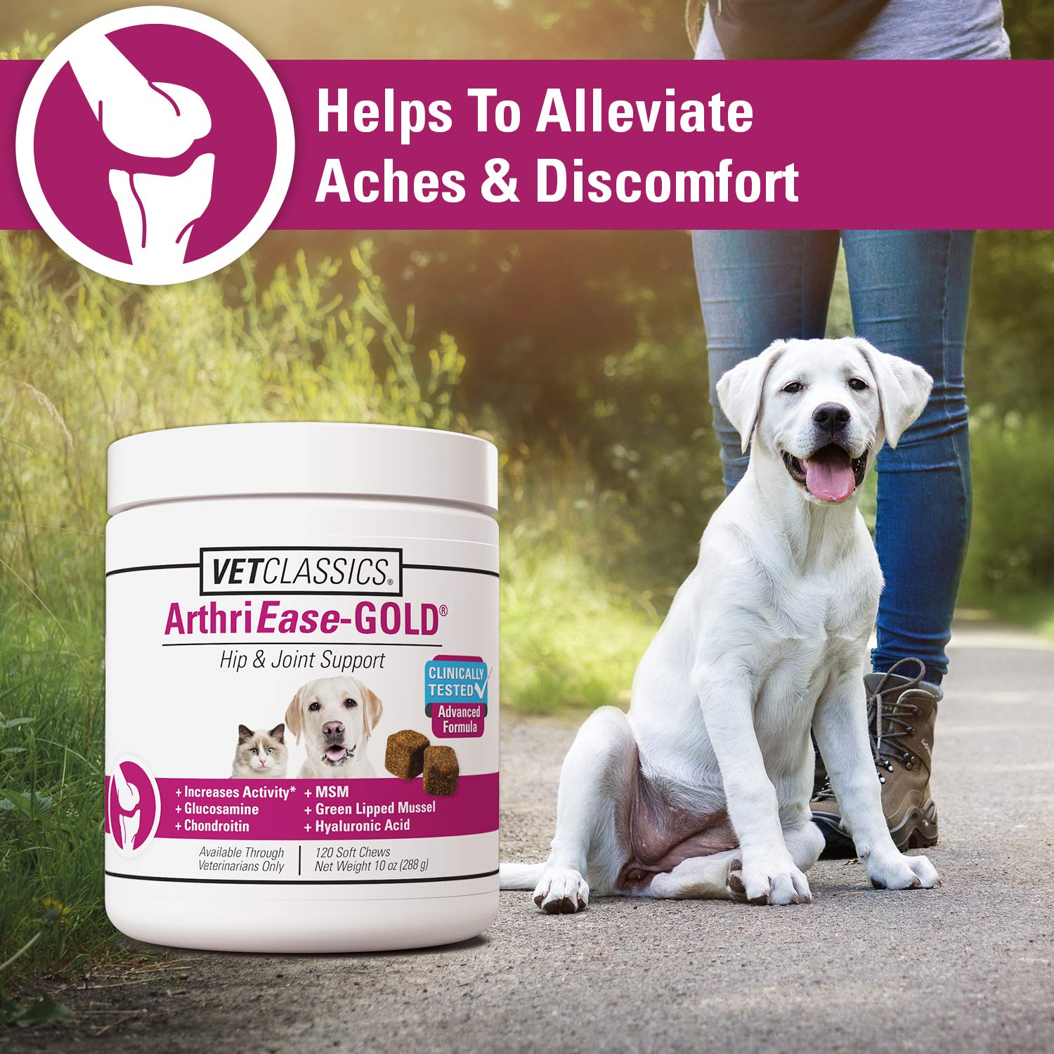 Ingredientes clave: glucosamina y condroitina en ArthriEASE-Gold para articulaciones.
