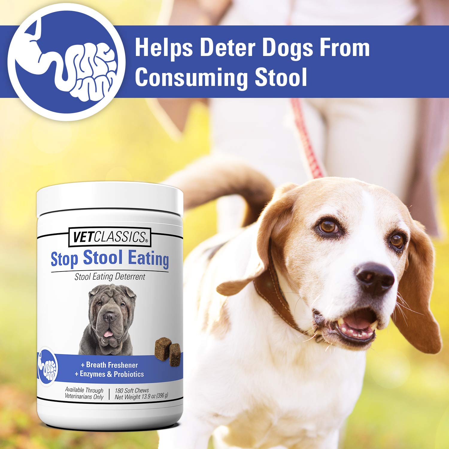 Vet Classics probióticos y enzimas para perros, apoyo digestivo y equilibrio intestinal.