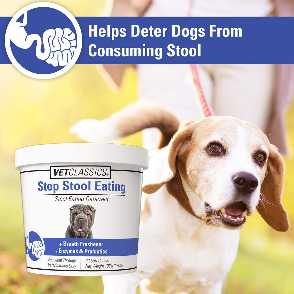 Vet Classics probióticos y enzimas para perros, apoyo digestivo suave.