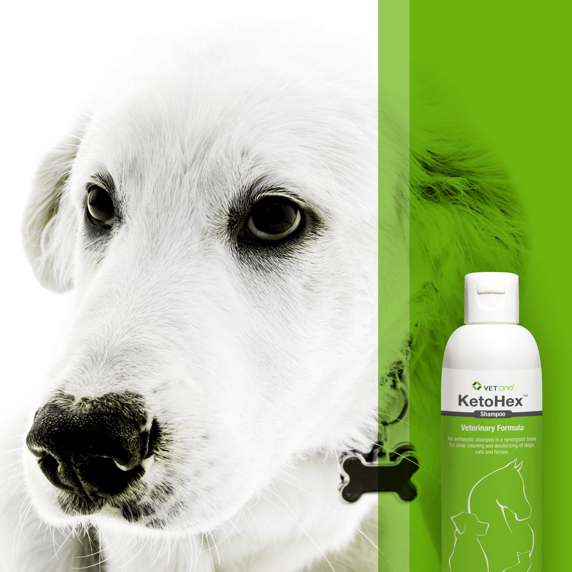 Vet One Champu para perros alergias, uso suave en piel sensible