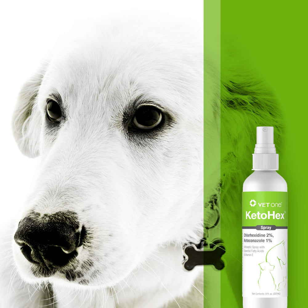 Vet One Ketohex Spray aplicación rápida para sesiones de cuidado en casa