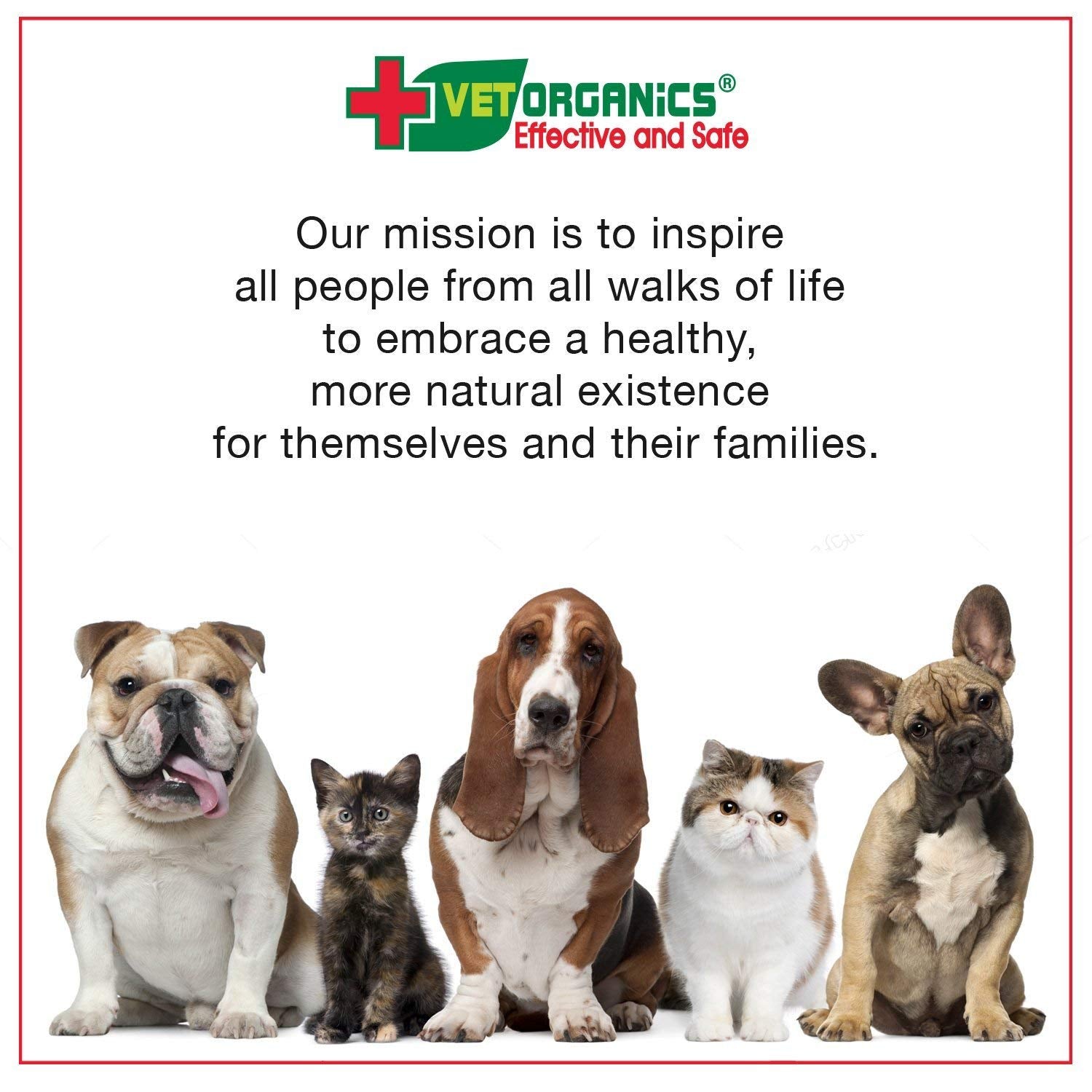 Vet Organics EcoImmune se mezcla fácilmente con la comida del perro o gato.