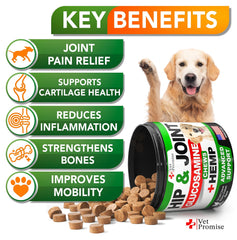 Vet Promise aceite canamo para articulaciones de perros, apoyo natural.