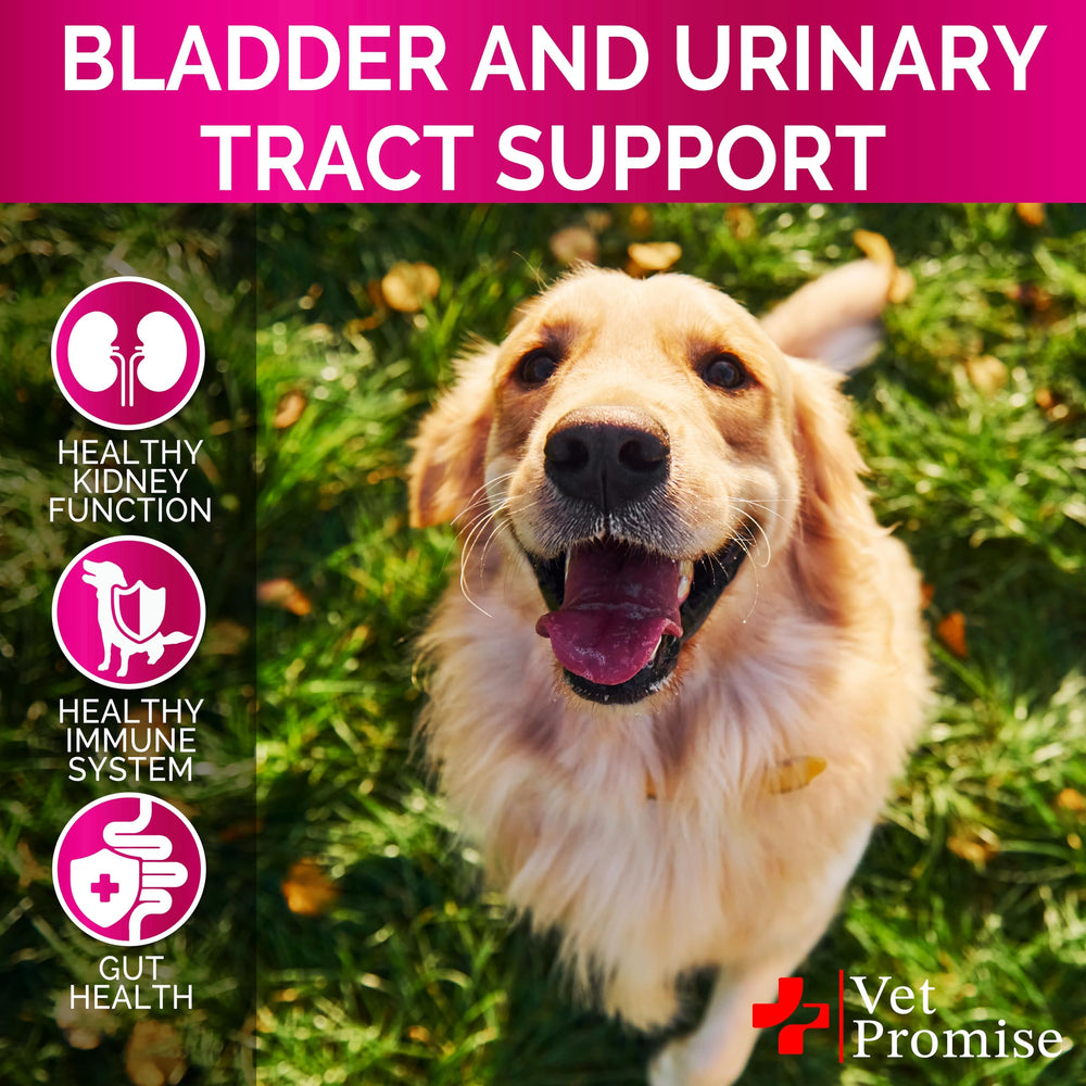 Vet Promise arándano para perros, uso diario en forma de masticables para bienestar