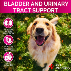 Vet Promise arándano para perros, uso diario en forma de masticables para bienestar