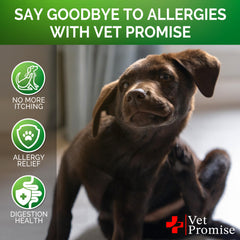 Vet Promise colostro para inmunidad y salud intestinal en perros