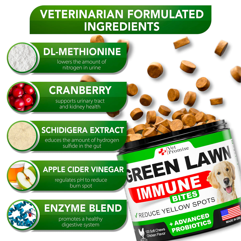 Vet Promise enzimas digestivas, posible apoyo para digestión y bienestar.