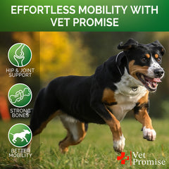 Vet Promise fórmula natural sin aditivos para articulaciones.