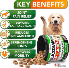 Vet Promise Glucosamina para perros, articulaciones y movilidad