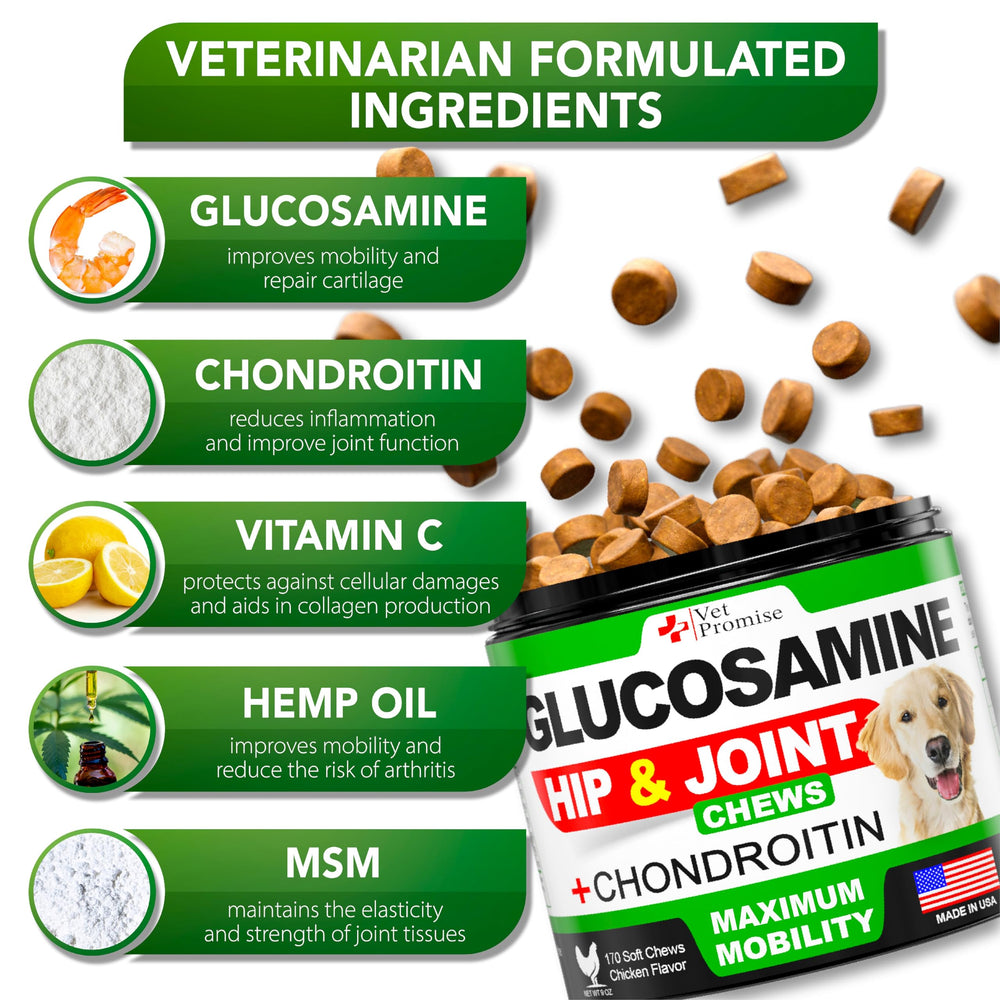 Vet Promise Glucosamina para perros, masticables mostrados en mano para tamaño y dosis simplificada.