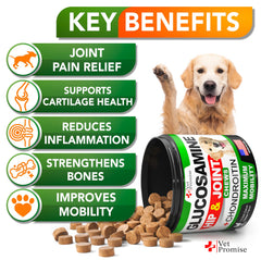Vet Promise Glucosamina para perros, masticables con textura atractiva para movilidad diaria.