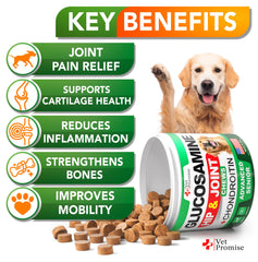 Vet Promise masticables: articulaciones de perros, promueven movilidad y bienestar en paseos diarios.