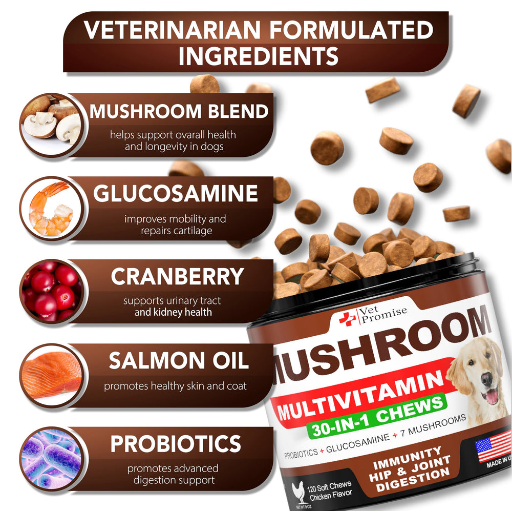 Masticables Vet Promise con melena de león para perros activos.