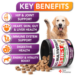 Vet Promise multivitamínico para perros, soporte articular para mayor movilidad