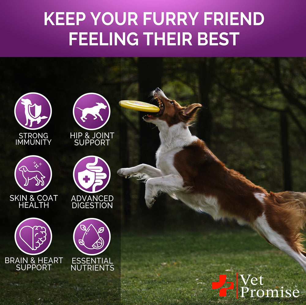 Vet Promise multivitamínico para todas las edades y tamaños de perros